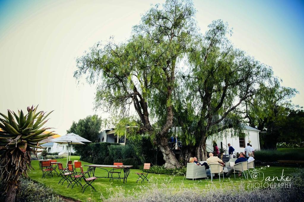 Swartberg Country Manor Guest House Matjiesrivier  Exterior photo